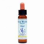 BACH ROCK WATER-AGUA DE ROCA 10 ml