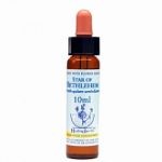 BACH STAR OF BETHLEHEM-ESTRELLA BELÉN 10 ML