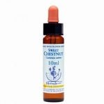 BACH SWEET CHESNUT-CASTAÑO DULCE 10 ml