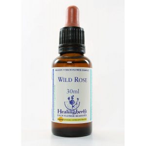 wild rose
